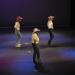 Gala de danse
