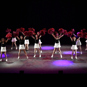 Pompoms