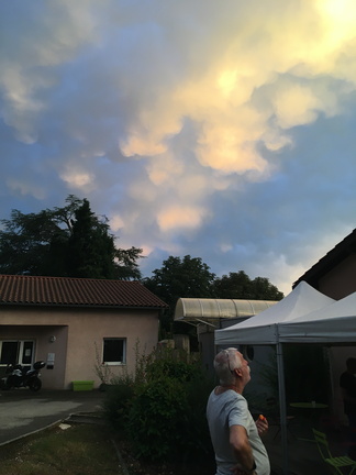 IMG 0891
