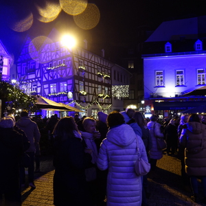 Jumelage Limburg Ste Foy - Délégation